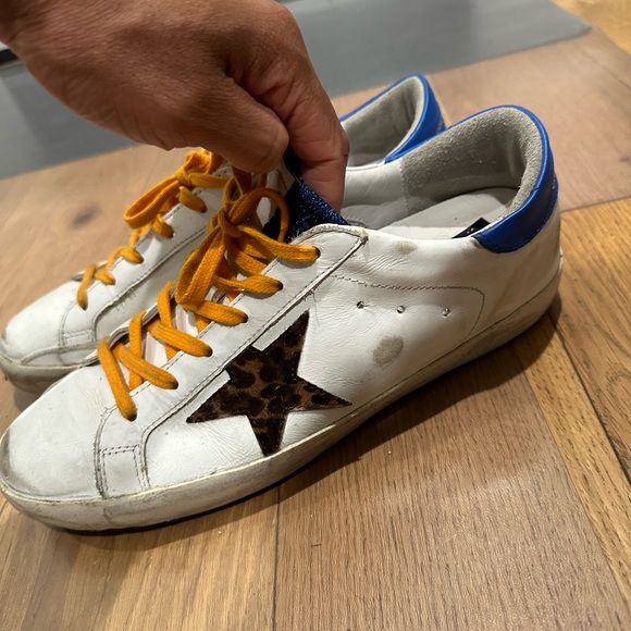 Golden goose - Picture 3 of 5